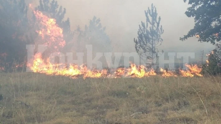 Военен хеликоптер се включи в гасенето на пожара между пазарджишките села