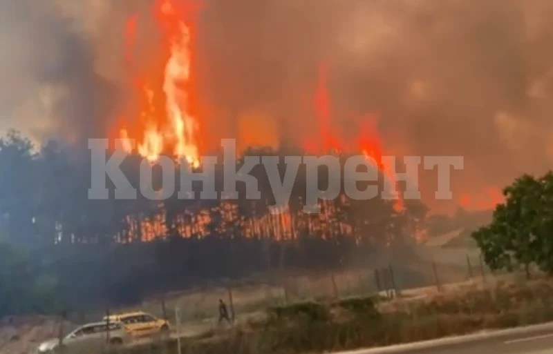 Огнен ад! Гора пламна в близост до бензиностанция 