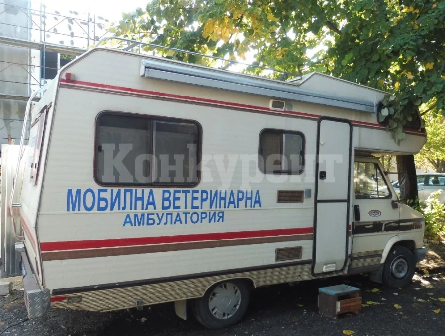 Лицензирана фирма ще извършва ветеринарномедицинска обработка на котки в Мездра
