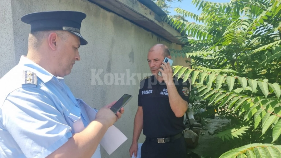 Малолетни организирали бой с кучета