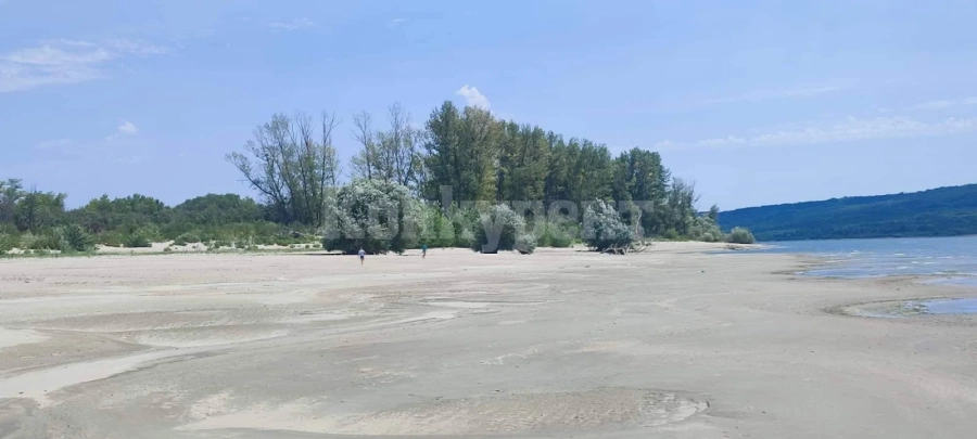 Плашещи СНИМКИ на р. Дунав край Козлодуй