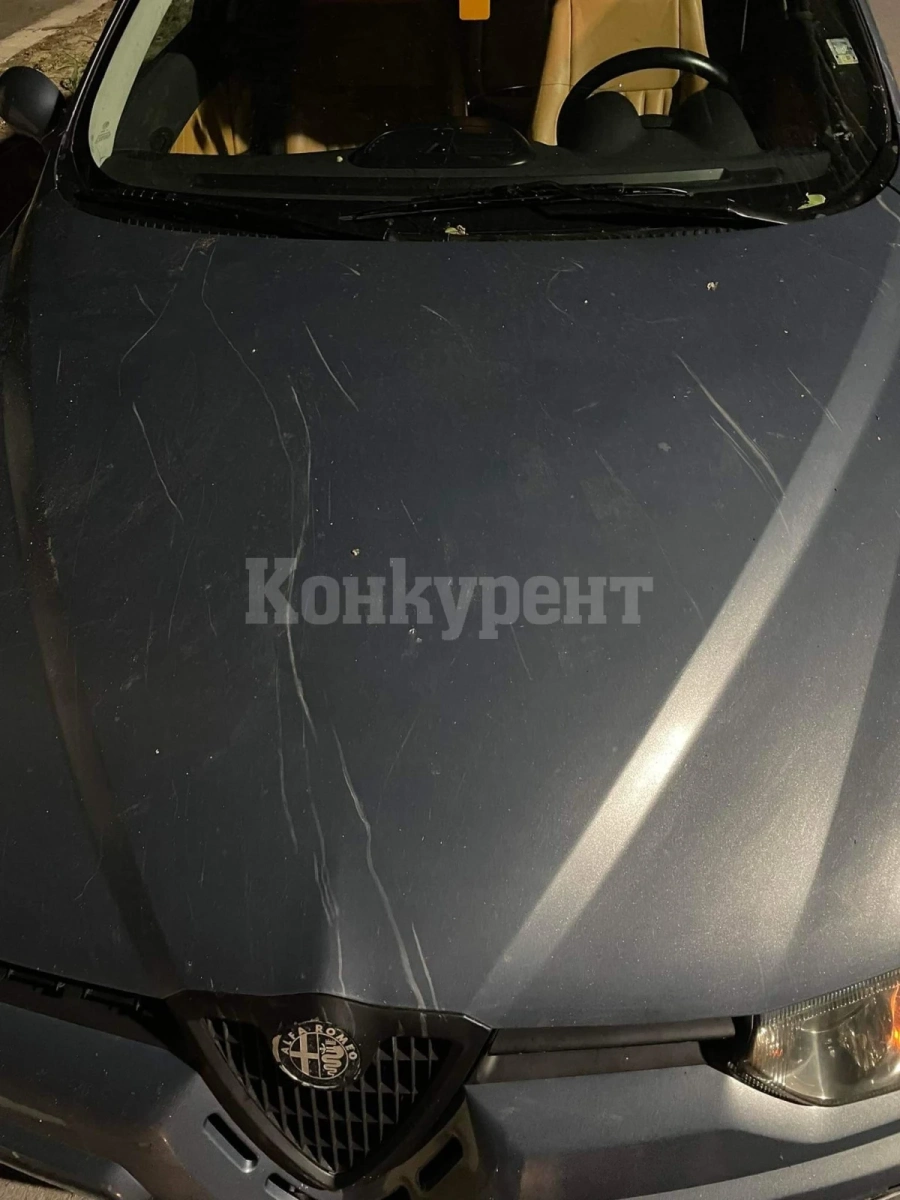 Два клона паднаха върху кола в Козлодуй, нанесоха огромни щети СНИМКИ