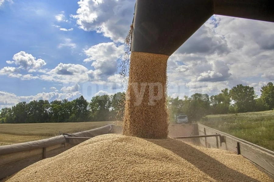 Първият кораб със зърно от Украйна потегли за Ливан