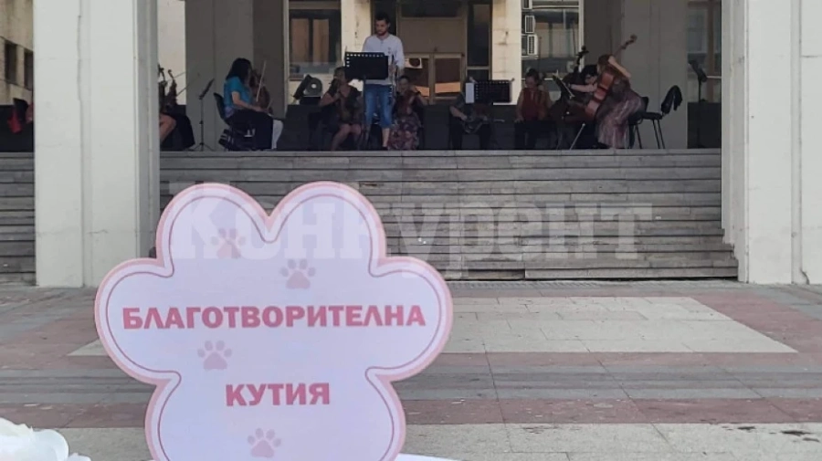 Концерт на Симфониета Видин събра средства за бездомните животни