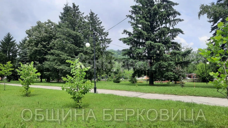 В Берковица пак пръскат срещу кърлежи и комари
