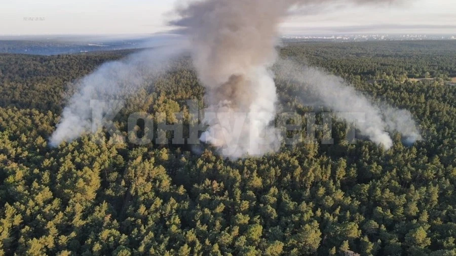 Голям горски пожар край Берлин след взрив на склад с боеприпаси