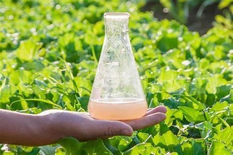 Използваните с десетилетия пестициди помрачават идилията на селския живот