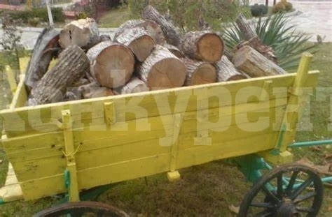 Резнаха с актове бракониери на дърва от Лехчево