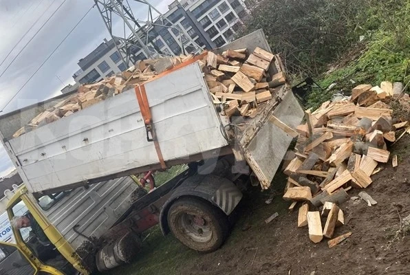 Разследват как умря мъж при добив на дървесина в района на Якоруда