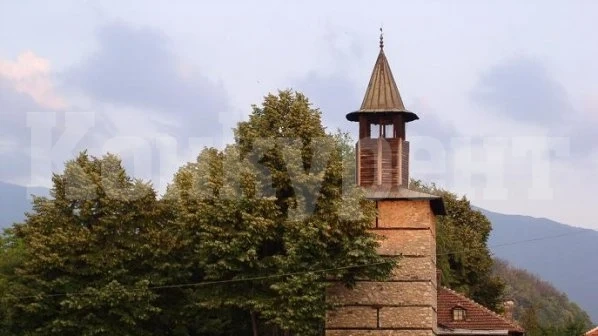 В Берковица премахнаха опасно дърво, заплашващо Часовниковата кула