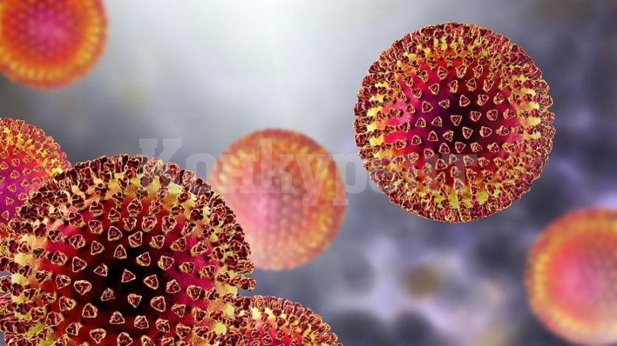 Учени от Китай идентифицираха нов хенипавирус