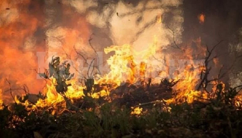 Горя стопанска постройка във Видинско