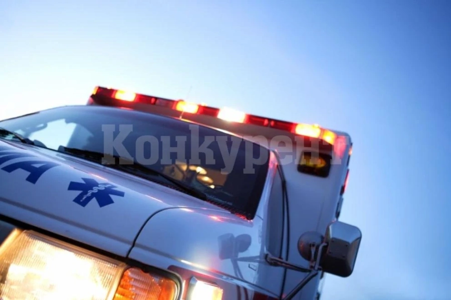 Трима загинаха след опит на шофьор да избегне полицейска проверка в Австрия
