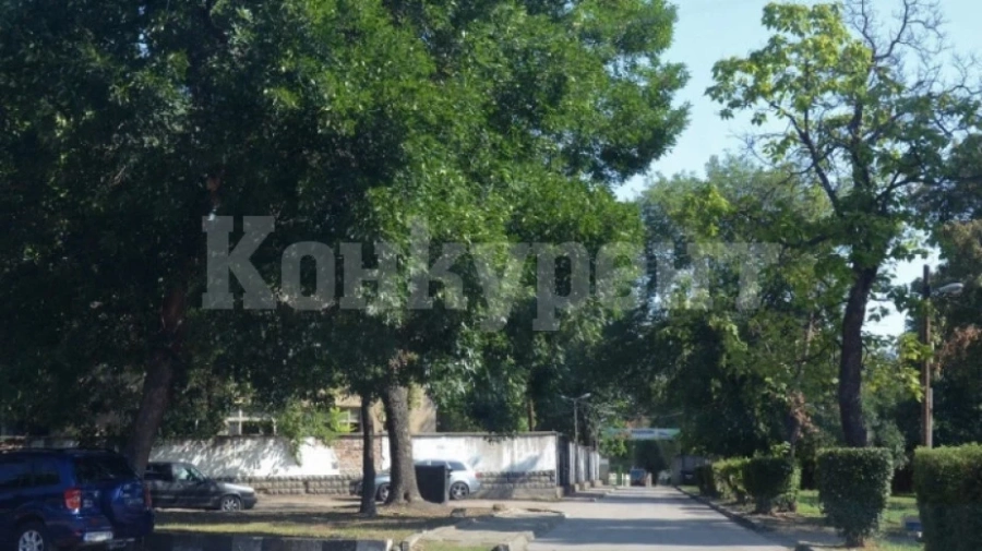 Въвеждат временна организация на движение заради панаира във Видин