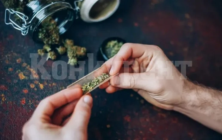 Швейцария започва легална продажба на канабис