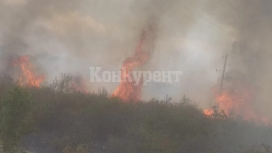 Задържаха мъж, предизвикал големия пожар край Мраморен
