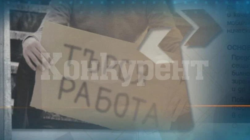 Ето кои са най-търсяните кадри от работодателите в Монтанско 