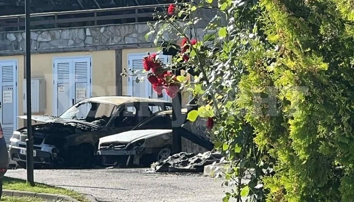 9 коли изгоряха при пожар на паркинга на хотел в Банско