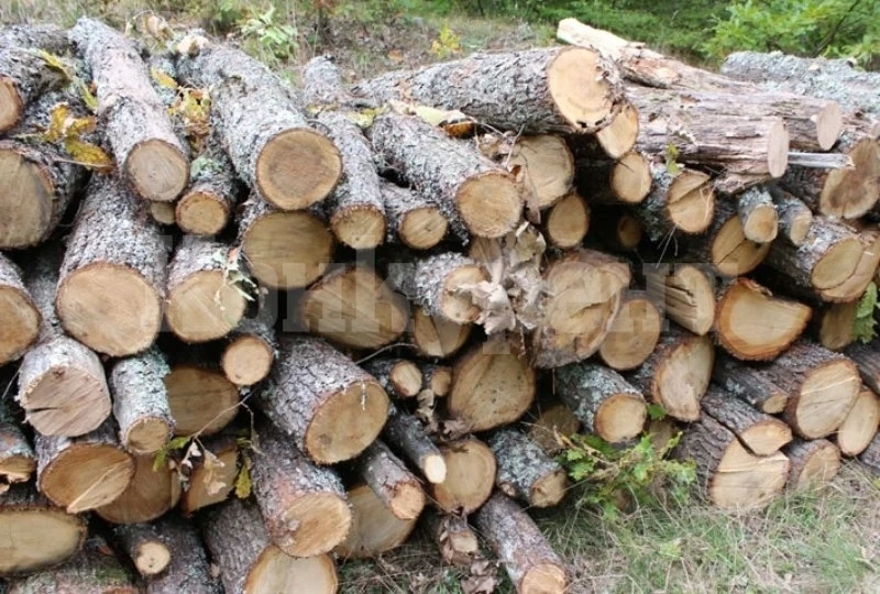 Намериха незаконни дърва на два адреса във врачанско село