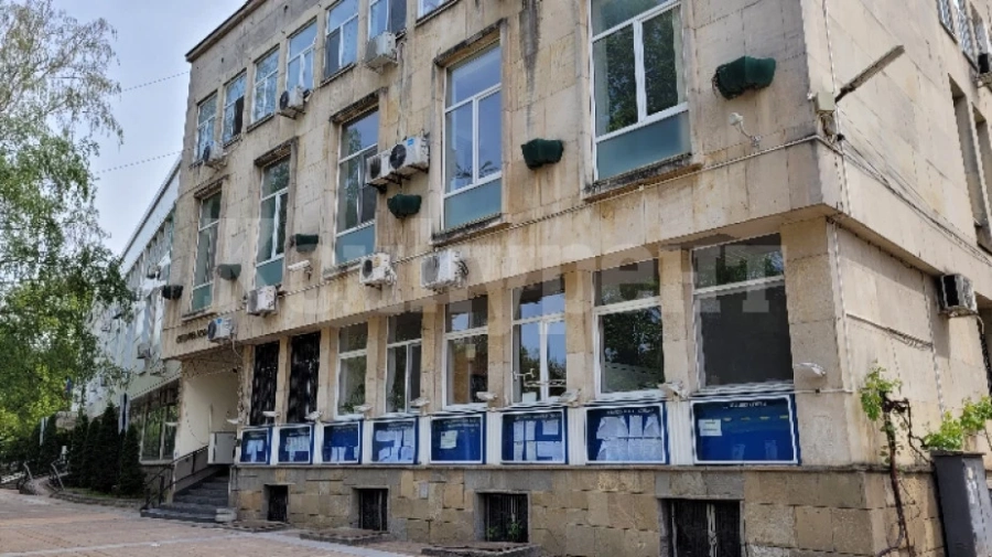 В Монтана премахват опасни дървета