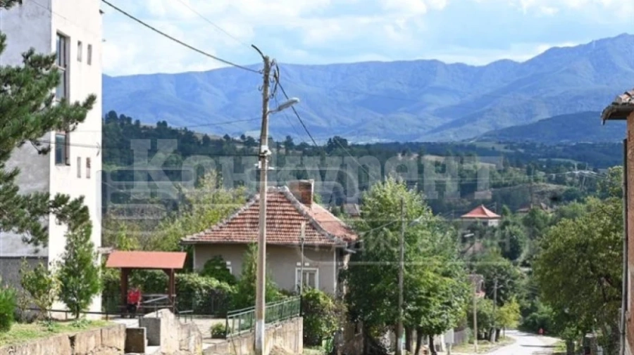 Алея на чинарите ще краси монтанското село Драганица