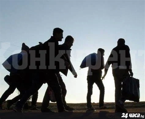 Пипнаха мароканци на пътя между Оряхово и Мизия