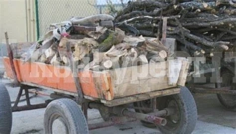 Във Видин заловиха конска каруца с дърва