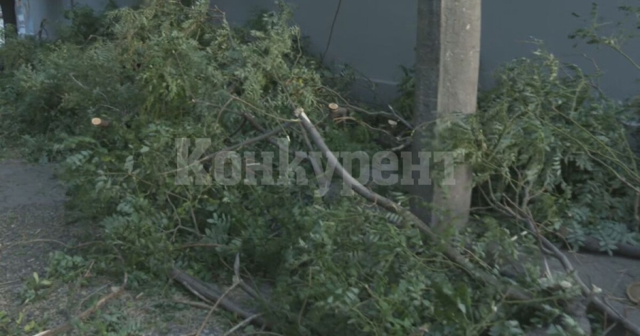 След силния вятър в Сливенско: Какви са щетите