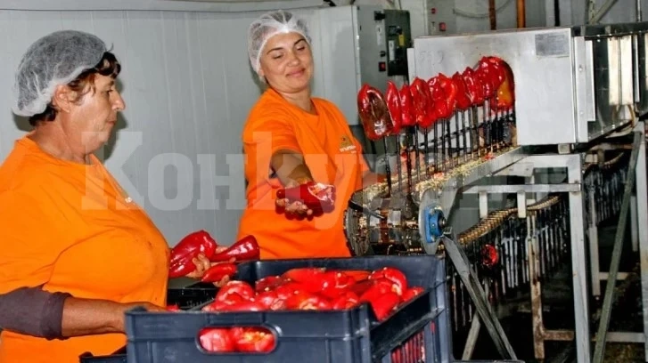Рекордно ниската безработица изигра лоша шега на бизнеса