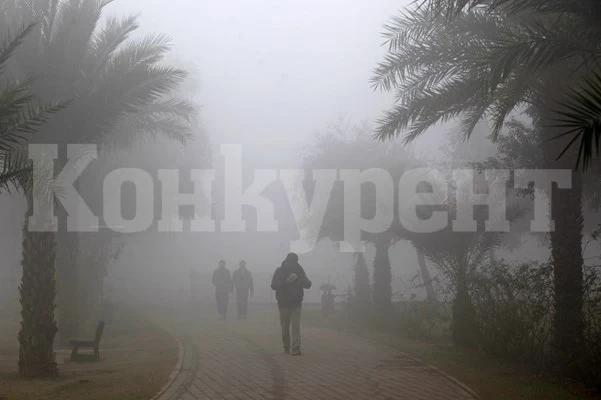 Мръсният въздух причинява стерилитет при момчетата, дори когато са в утробата
