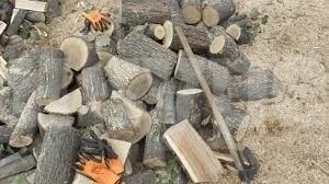 Намериха незаконни дърва в къща в село Враняк