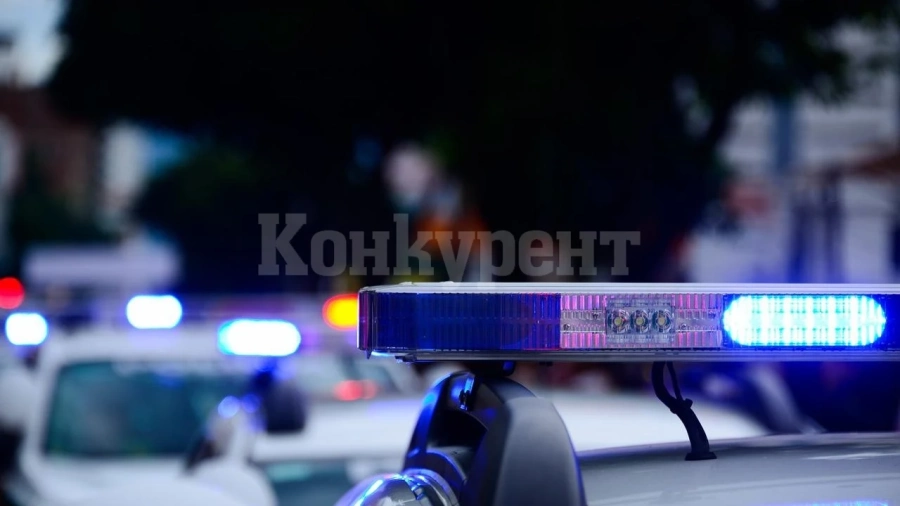 Криминалисти от Видин нищят странна кражба от таванско жилище