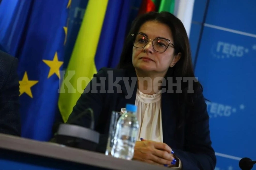 Росица Кирова: Да се откажем от номинацията на Желязков би било обида към избирателите