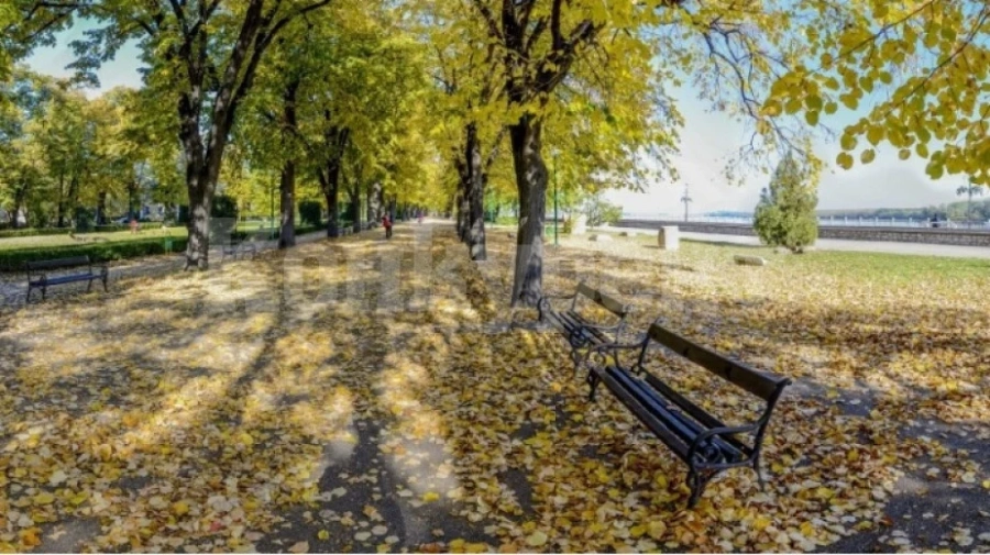 Отбелязват Деня на видинската екология