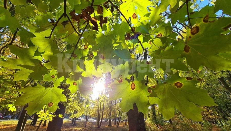 Топло, но ветровито ще е времето в неделя