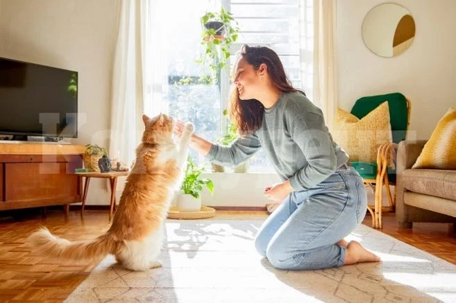 Куче, котка или змия – какво показва изборът на домашен любимец