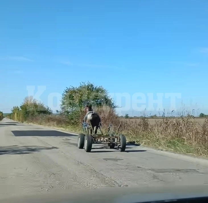Вижте какви чудеса стават по пътищата в Северозапада СНИМКИ