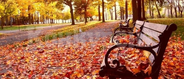 Предимно слънчево, с временни увеличения на облачността