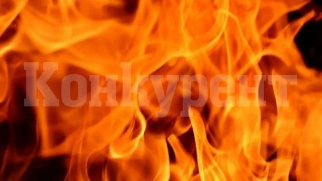 Изгоряха три контейнера за смет във Видин