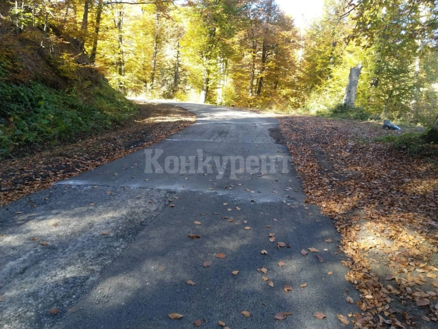 Община Берковица приключи рехабилитация на пътя за зона Ком