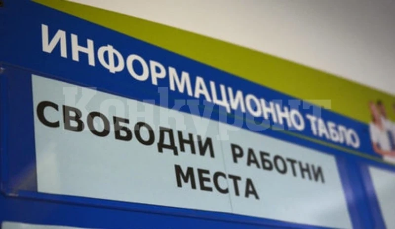Вижте какви са актуалните свободни работни места в Монтанско 