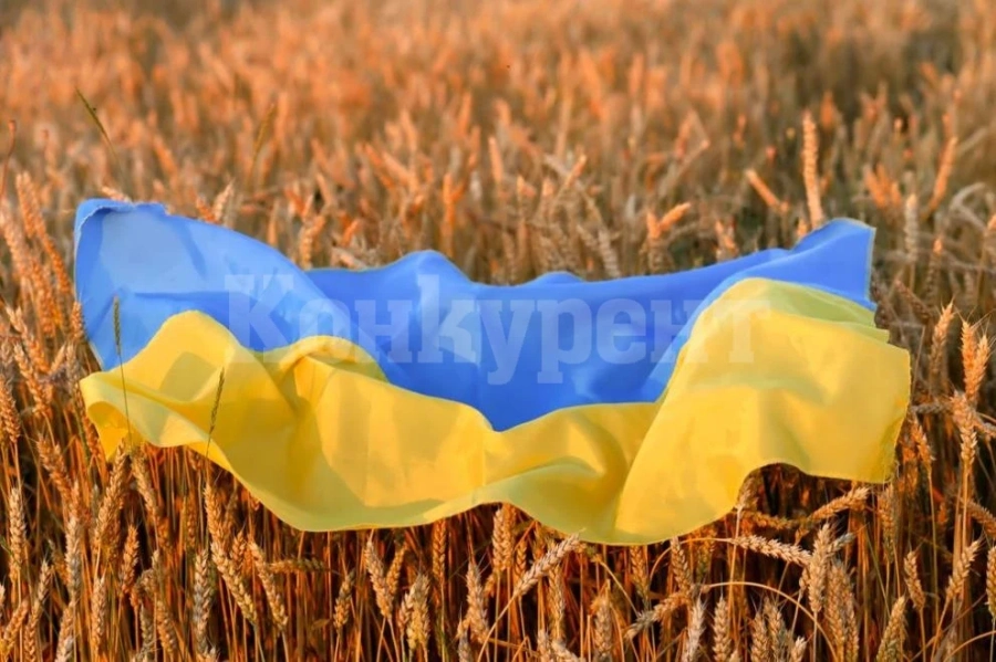 Франция търси алтернативни варианти за износ на украинско зърно през Румъния и Полша