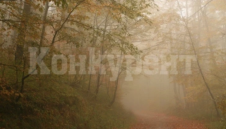 Мъгливо и облачно ще е времето днес