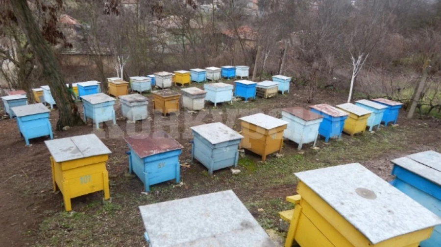 Подпомагат млади земеделски стопани