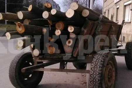 Спипаха трима, бракониерствали в гората край Медковец
