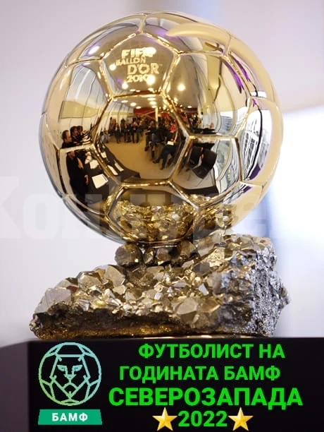 Награждават на 3 декември отличниците на БАМФ Северозапад за 2022 г.