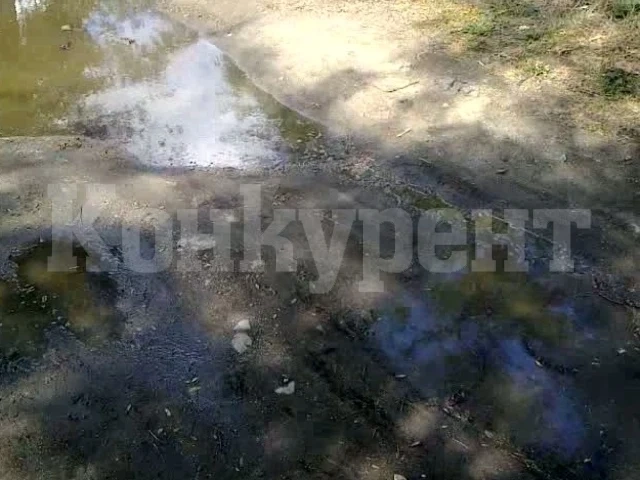 Гнусно! Фекалии заблатиха улица във Врачанско
