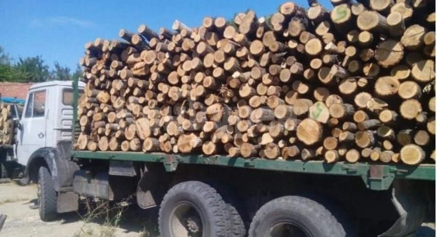 Ченгета заловиха камион с незаконни дърва, горските наказаха шофьора