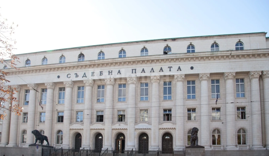 Протест срещу насилието над животни пред Съдебната палата в петък