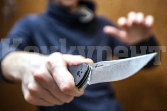КЪРВАВИ ИСТОРИИ ОТ СЕВЕРОЗАПАДА: Задържаха убиец, заклал дядо във врачанско село